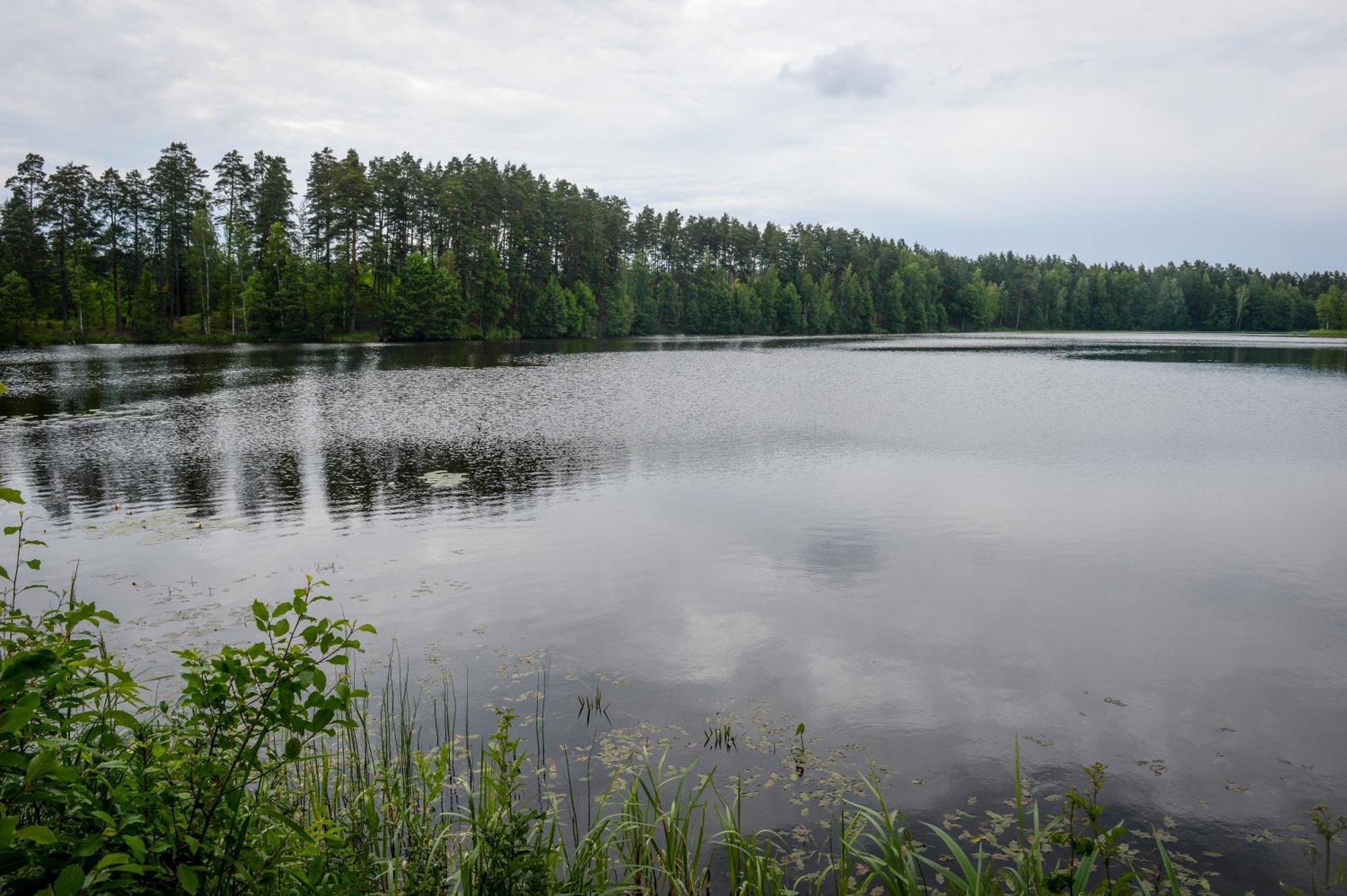 Alberta Dīķi Upesciems Ruang foto